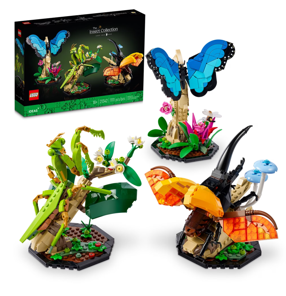 LEGO Ideas The Insect Collection Collectible Display Set for Nature Lovers 21342